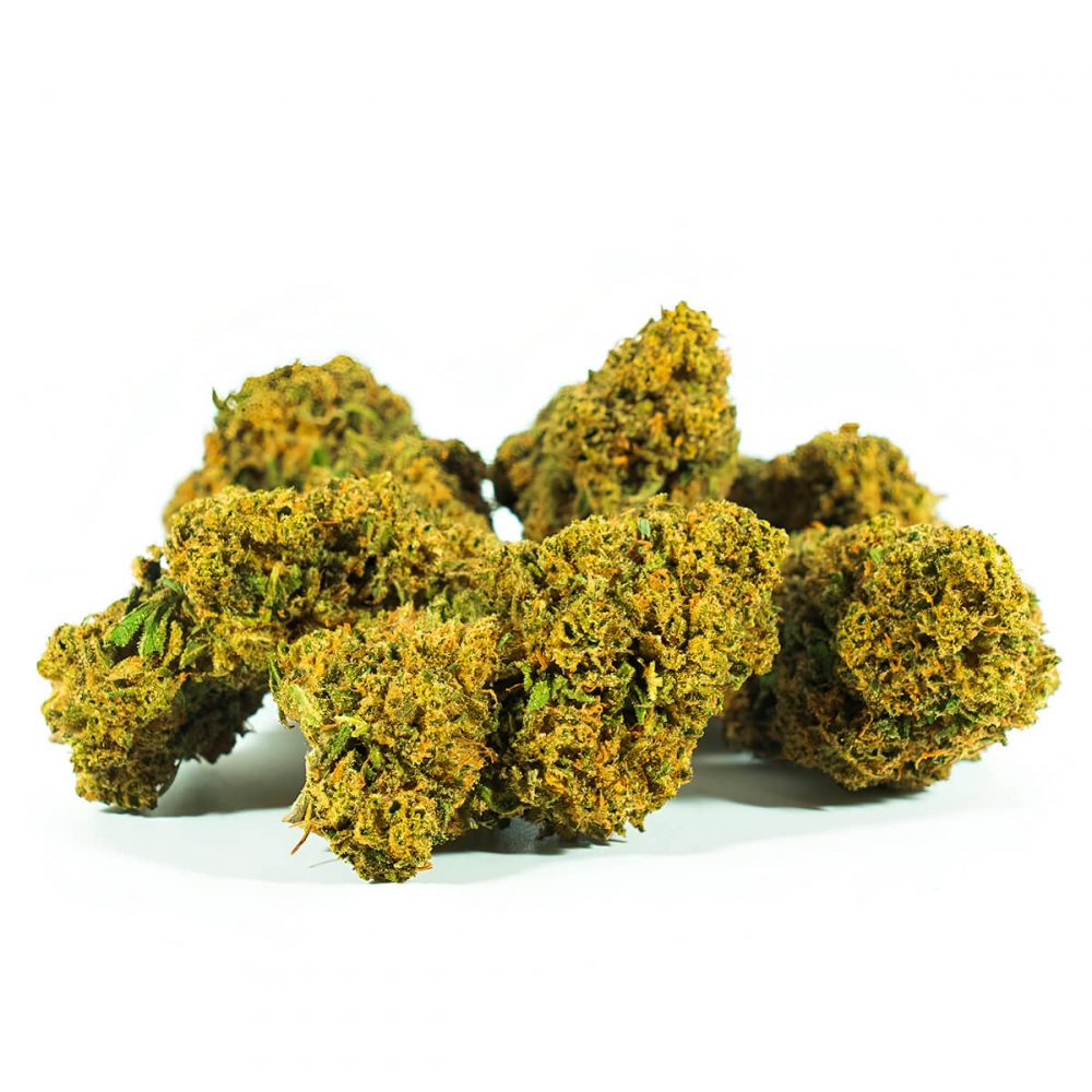 cogollos CBD GELATO 33 (Only CBD)