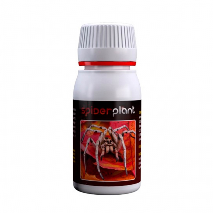 SPIDER PLANT AGROBACTERIAS 60ML.