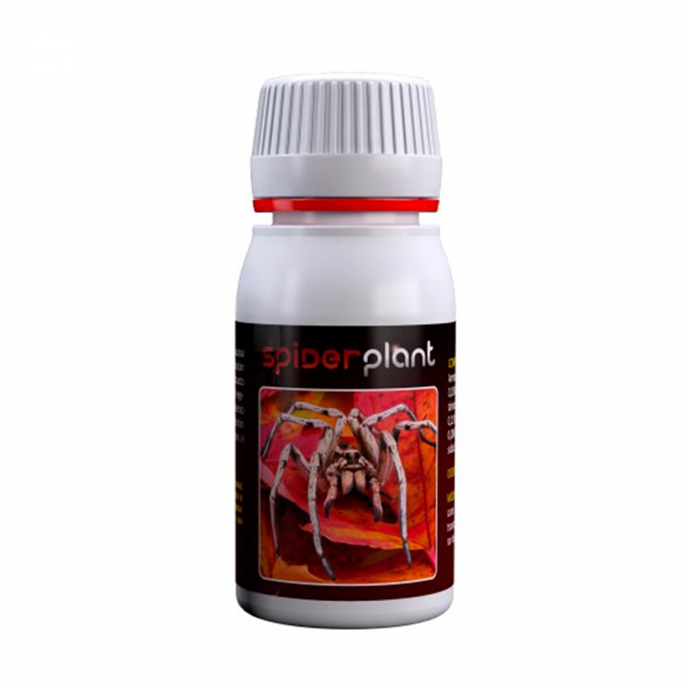 SPIDER PLANT AGROBACTERIAS 60ML.