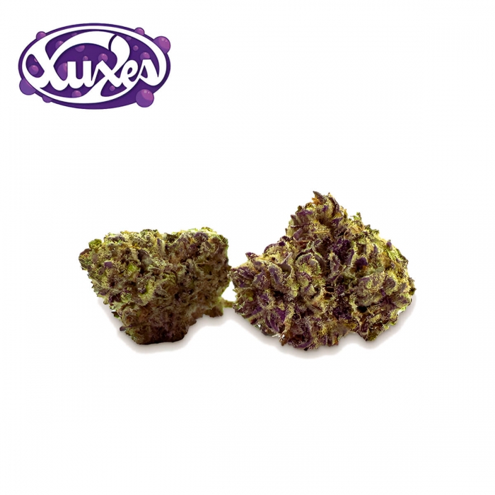FLORES PURPLE HAZE CBD (Xuxes) cogollos compactos.