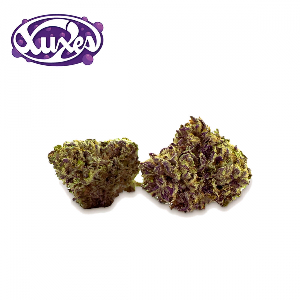 FLORES PURPLE HAZE CBD (Xuxes) cogollos compactos.