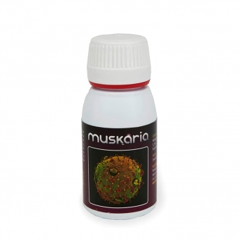 Muskaria 60ML (Agrobacterias)      Mejoras en el cultivo.