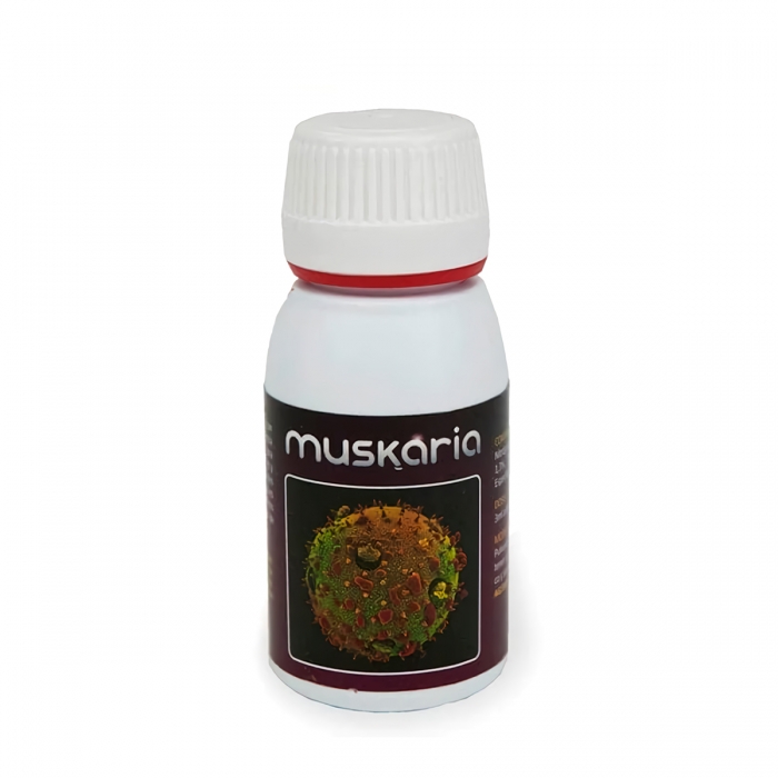 Muskaria 60ML (Agrobacterias)      Mejoras en el cultivo.