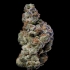 Semilla de marihuana feminizada White Coconut Pie de Cookies Seeds