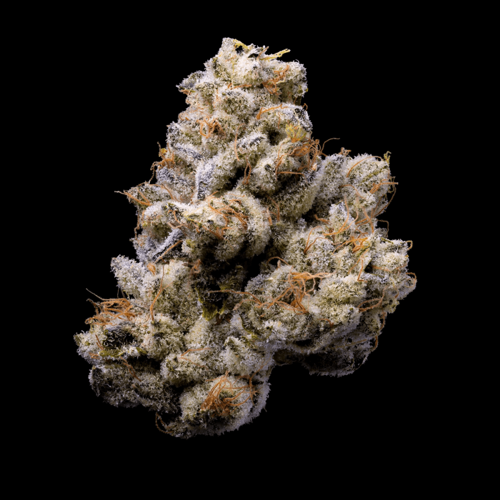 Semillas de marihuana feminizadas Orange Cake de Cookies Seeds.