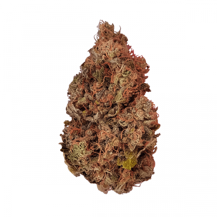 Purple-Queen de Royal Queen Seeds, semilla de marihuana, cogollo seco.