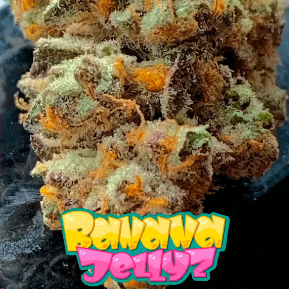 Semillas de marihuana feminizadas Banana Jellyz de Zmoothiez Seeds, cogollo con logo.