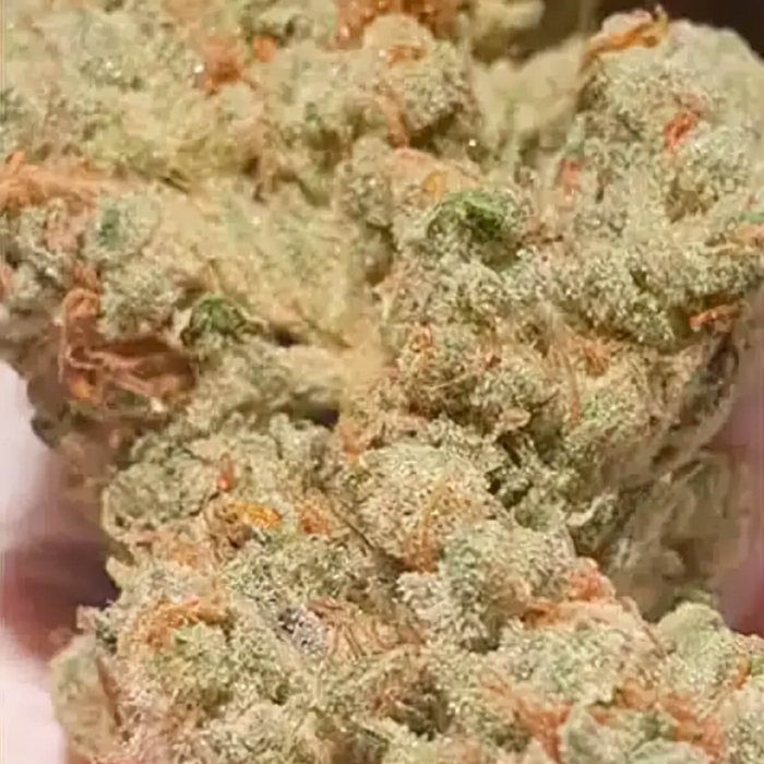 Semillas de marihuana feminizadas Candy Lime de Zmoothiez Seeds, resina.