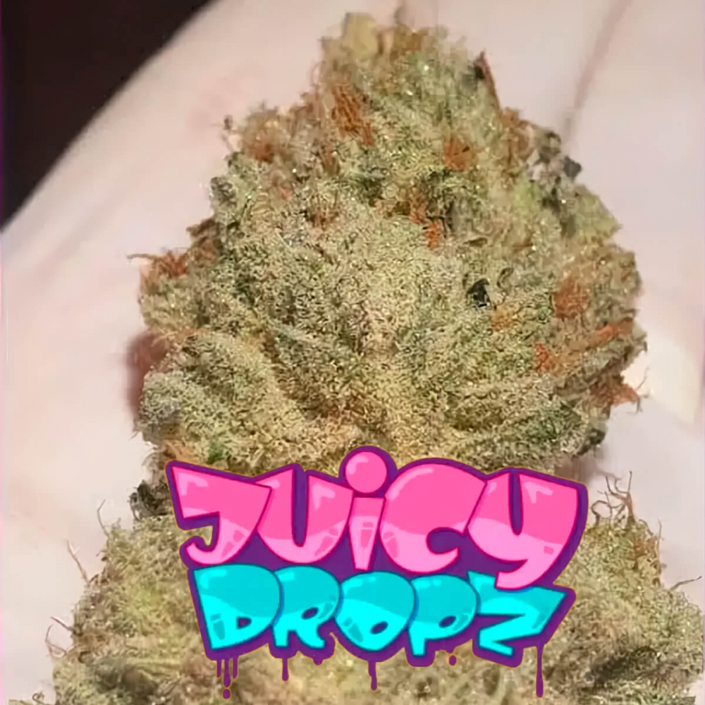 Semillas de marihuana feminizadas Juicy Drop'z de Zmoothiez Seeds, cogollo con logo.