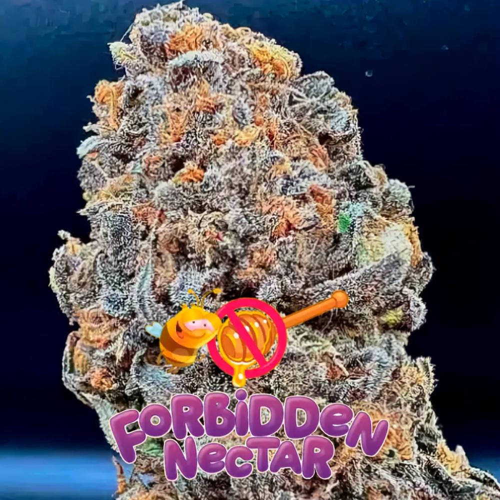 Semillas de marihuana feminizadas Forbidden Nectar de Zmoothiez Seeds, cogollo con logo.