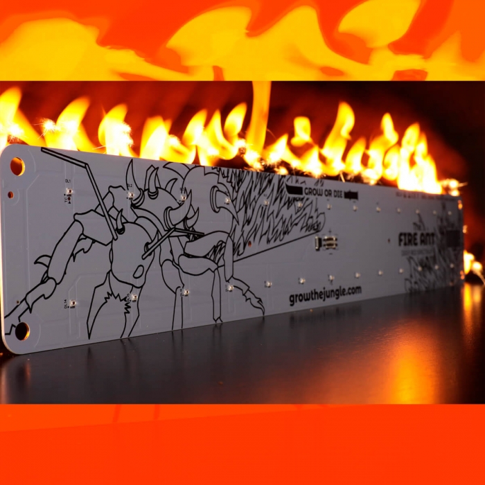 The Fire ANT de The Jungle con 25w FR+DR.
