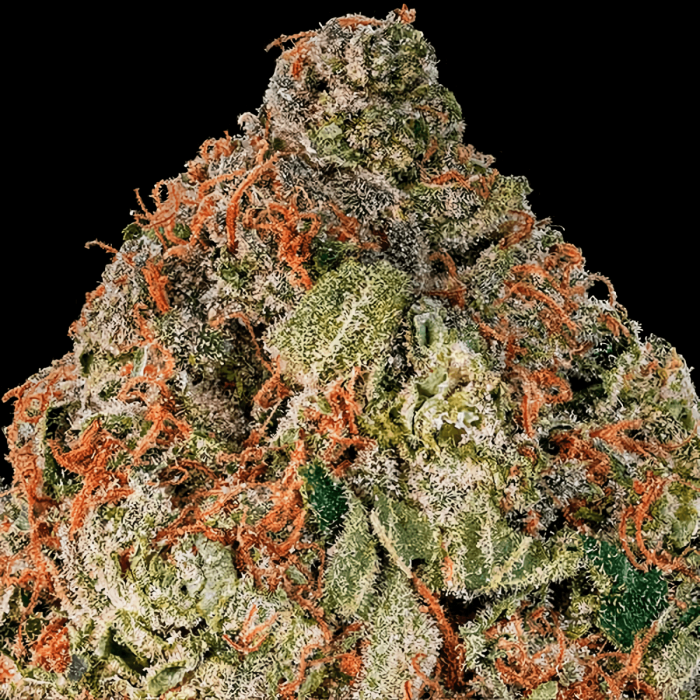 Cotton Candy (Delicious Seeds) Semillas de marihuana, resina.