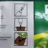 Modo de uso del Gel enraizante RootIT