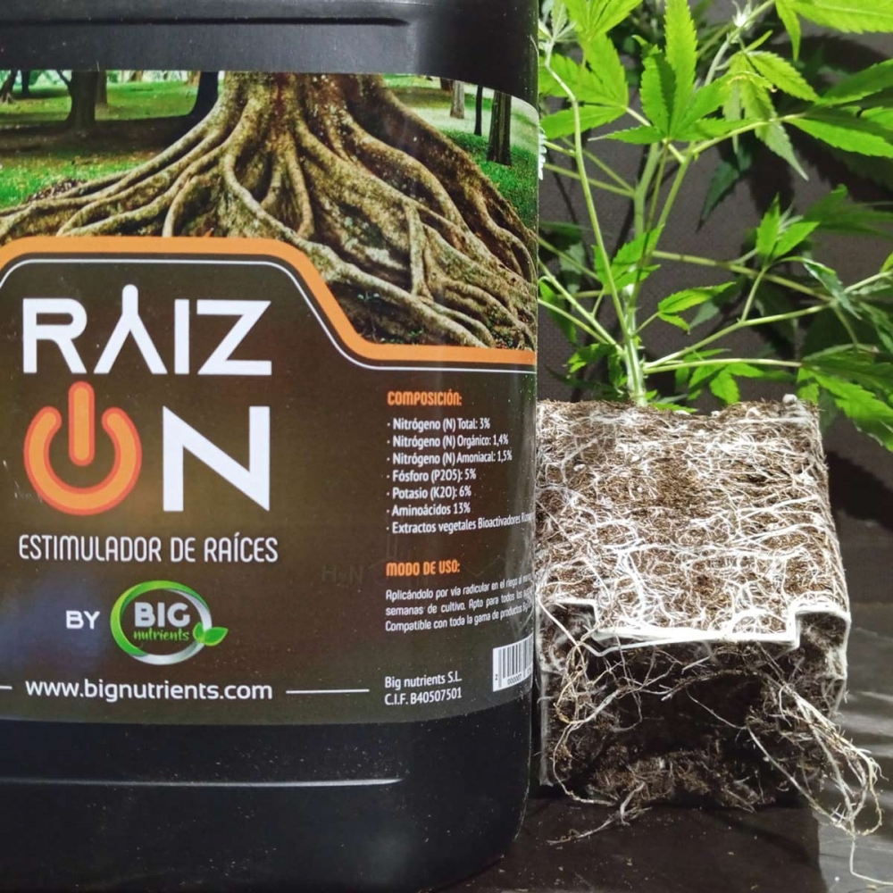 Raizon estimulador de raíces para plantas