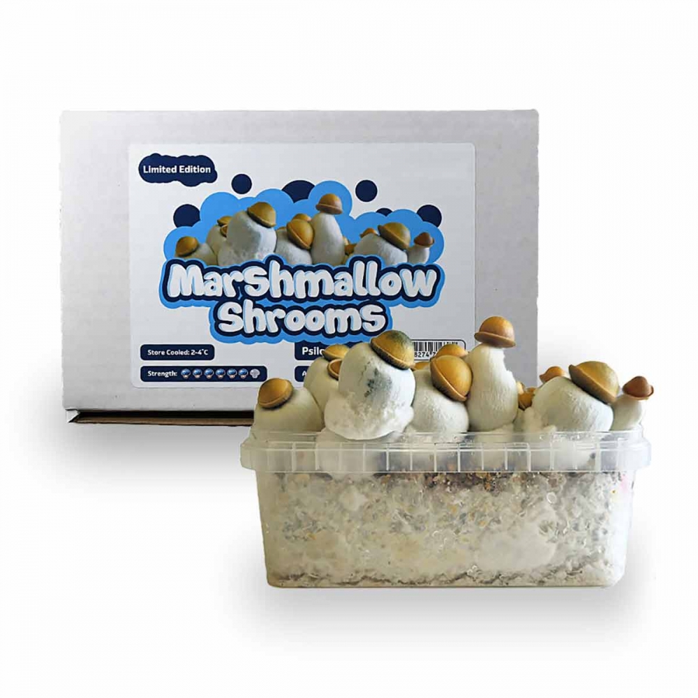 Pan de setas Marshmallow Shrooms