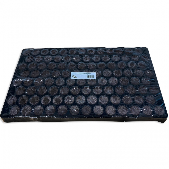 Bandeja semillero Pro Clone 104 Alveolos para la germinación de semillas y propagación de esquejes