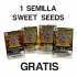 Semilla gratis Sweet Seeds al realizar cualquier pedido en FlorProhibida Grow Shop