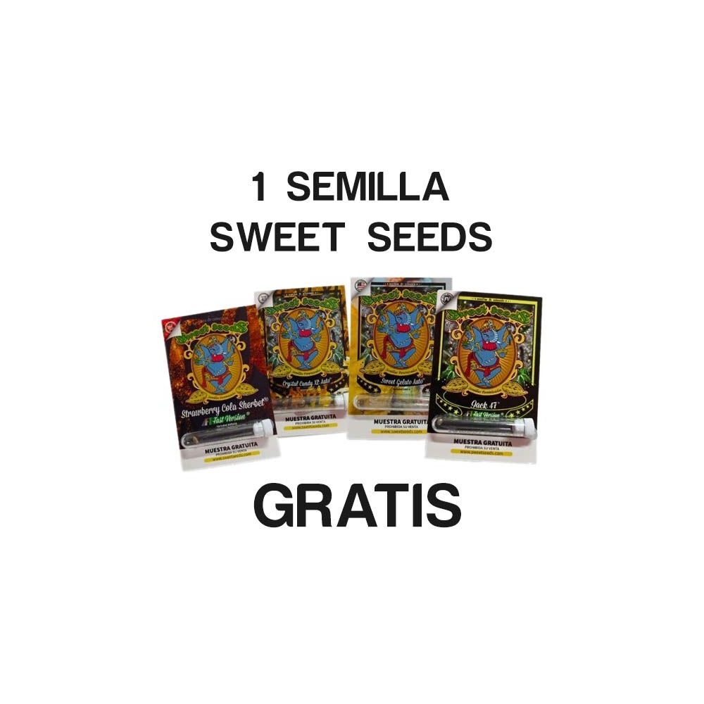 Semilla gratis Sweet Seeds al realizar cualquier pedido en FlorProhibida Grow Shop