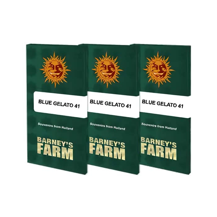 Paquete Semillas Barney's Farm Blue Gelato #41