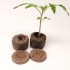 Jiffy de turba prensada de 22, 33 y 44mm de diámetro. Ideales para germinar todo tipo de semillas