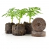 Germinadores Jiffy-7 pellets deshidratados de turba
