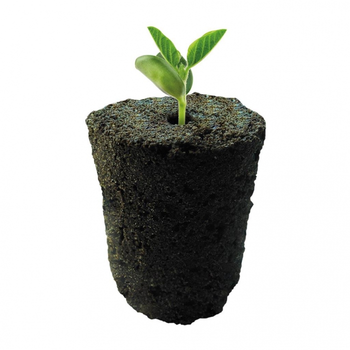 Germinador Root Rio