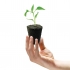 Bolsa de germinadores húmedos Root Rio de Growth Technology