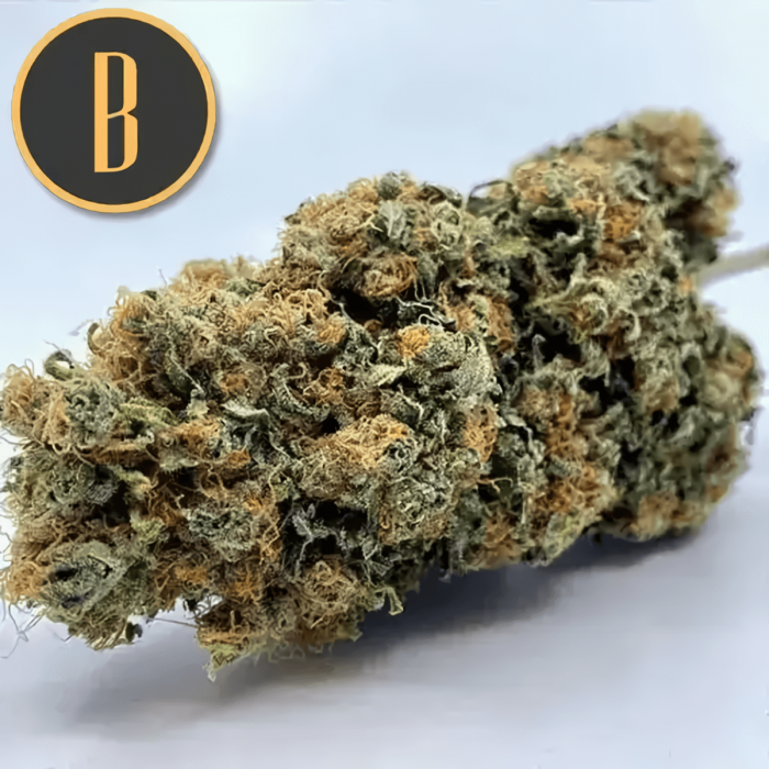 Chemdog #4 de Blimburn Seeds - Semillas de marihuana feminizadas, cogollo seco.