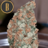 Semillas de Marihuana Mamba Negra (Blimburn Seeds) cogollo.