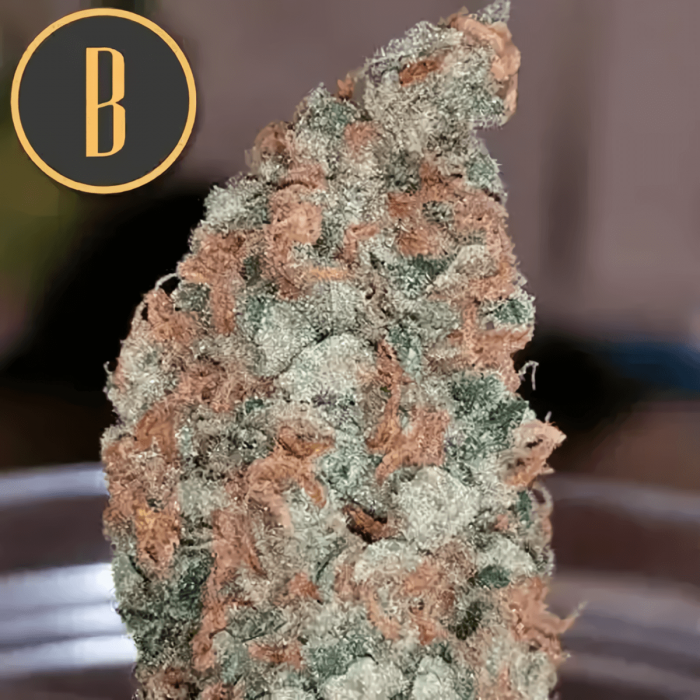Semillas de Marihuana Mamba Negra (Blimburn Seeds) cogollo.