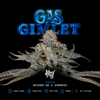 Semillas feminizadas Gas Gimlet de Wizard Trees Seeds, logo.
