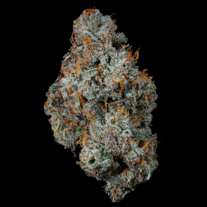 Semillas feminizadas Fruit Fuel de Nine Weeks Seeds, cogollo.