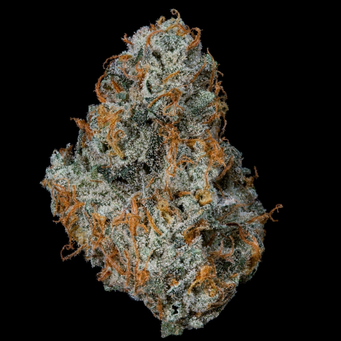 Semillas feminizadas Fruit Fuel de Nine Weeks Seeds, resina.