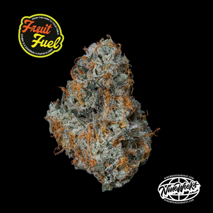 Semillas feminizadas Fruit Fuel de Nine Weeks Seeds, logo.