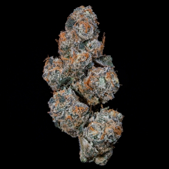 Semillas feminizadas Grape Squeeze de Nine Weeks Seeds, cogollo.