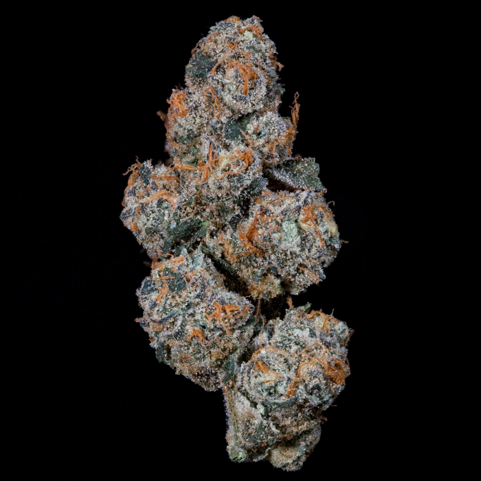 Semillas feminizadas Grape Squeeze de Nine Weeks Seeds, cogollo.