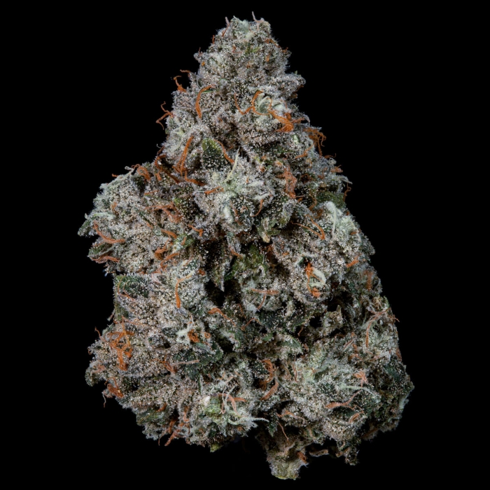 Semillas feminizadas Pruno de Nine Weeks Seeds, cogollo