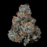 Semillas feminizadas Dulce de Gas de Nine Weeks Seeds, cogollo.