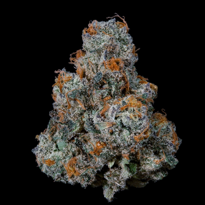 Semillas feminizadas Dulce de Gas de Nine Weeks Seeds, cogollo.