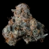 Semillas feminizadas Ice Pop de Nine Weeks Seeds, cogollo prieto.