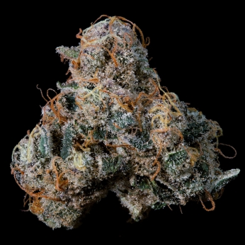 Semillas feminizadas Ice Pop de Nine Weeks Seeds, cogollo prieto.