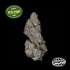 Semillas feminizadas Dulce de Gas de Nine Weeks Seeds, logo.