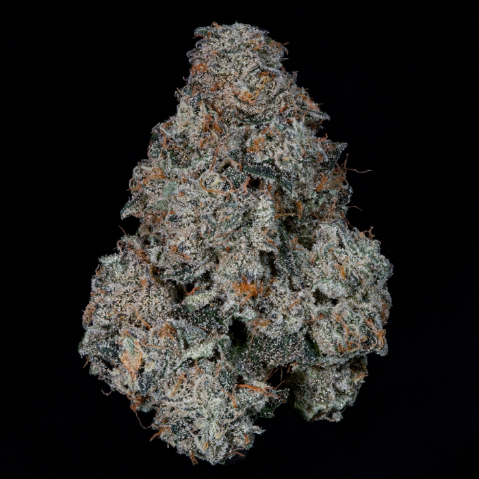 Semillas feminizadas Grape Pak de Nine Weeks Seeds, cogollo compacto.