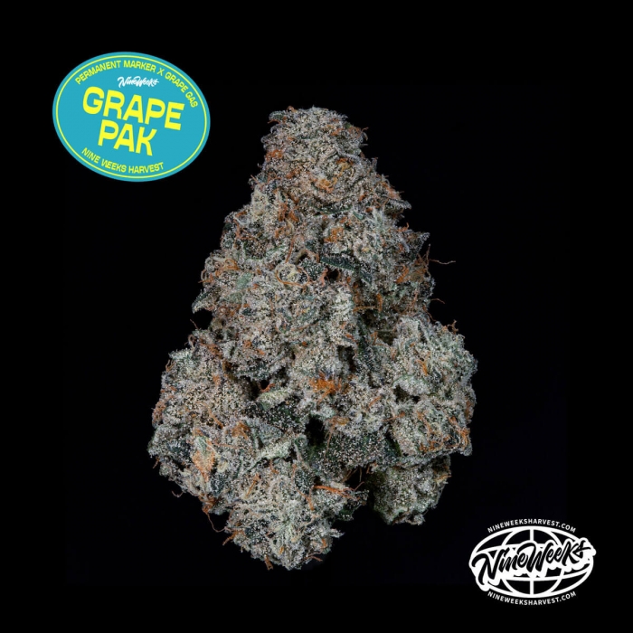 Semillas feminizadas Grape Pak de Nine Weeks Seeds, logo.