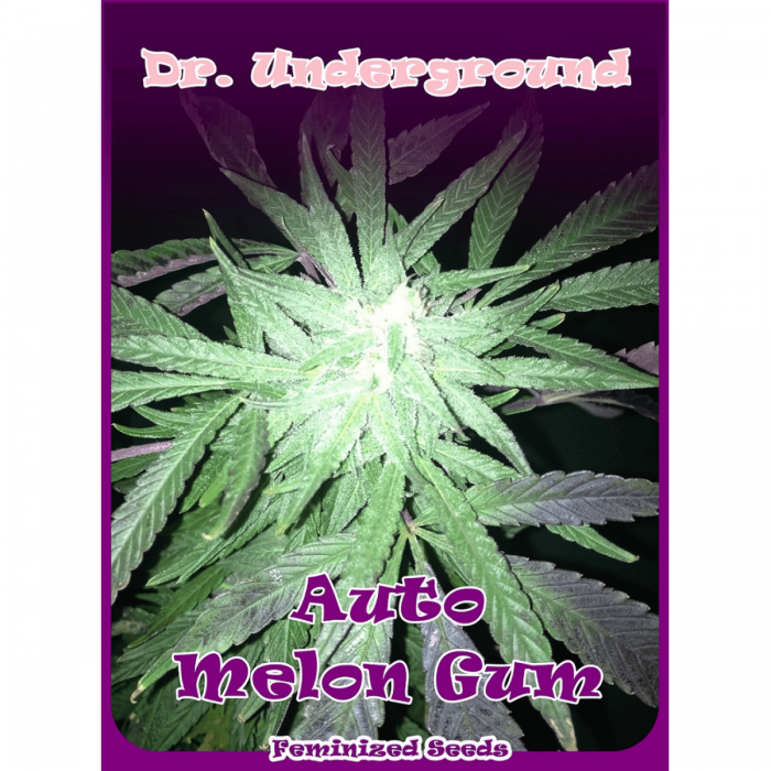 Semillas de marihuana autoflorecientes Auto Melon Gum de Dr. Underground, logo.