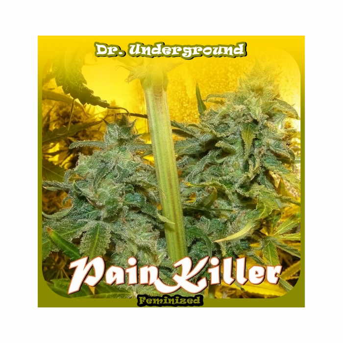 Semillas Feminizadas Painkiller de Dr. Underground, logotipo.