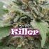 Semillas Feminizadas Painkiller de Dr. Underground, logo resina.