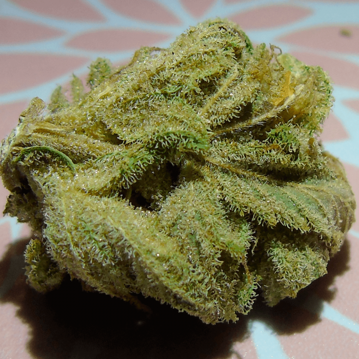 Brookling Mango (Dr Undeground)- Semillas de Marihuana feminizadas, resina.