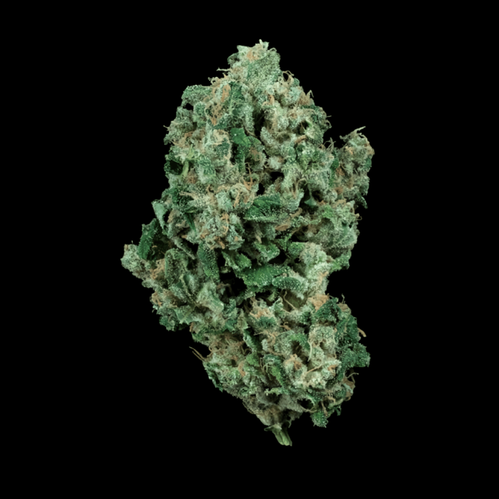 Semillas de Marihuana Kandy Kush de (DNA Genetics), cogollo sin hojas