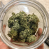 Semillas de Marihuana Kong 47 de Dr. Underground, cogollos secos.
